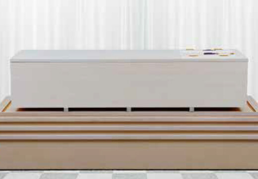 シンプルプラン